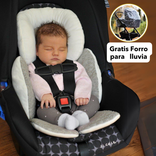 Soporte para coche + Forro de lluvia